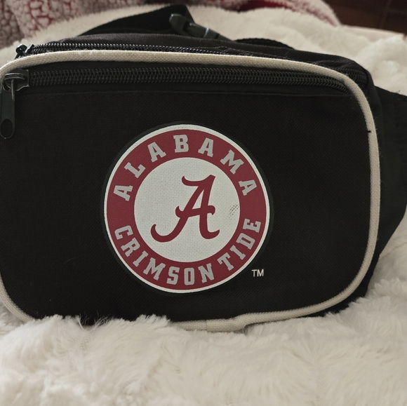 Fanny pack - Picture 1 of 6